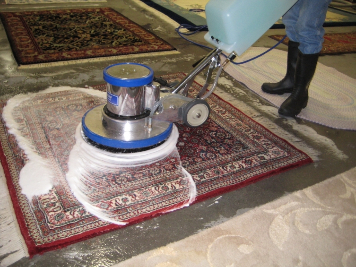 Rug Cleaning in Virginia Beach, VA: Your Complete Guide